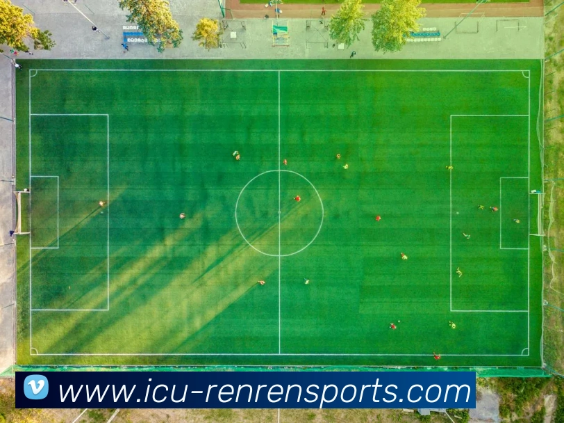 人人体育安卓版平台生态图